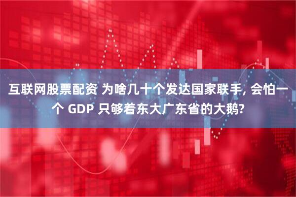 互联网股票配资 为啥几十个发达国家联手, 会怕一个 GDP 只够着东大广东省的大鹅?