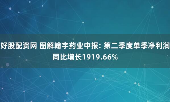 好股配资网 图解翰宇药业中报: 第二季度单季净利润同比增长1919.66%