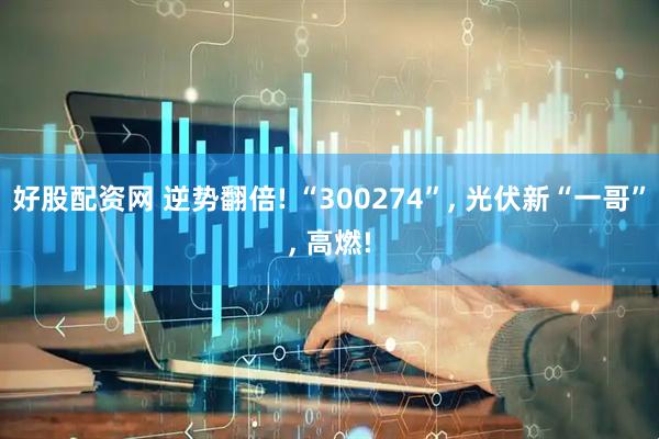 好股配资网 逆势翻倍! “300274”, 光伏新“一哥”, 高燃!